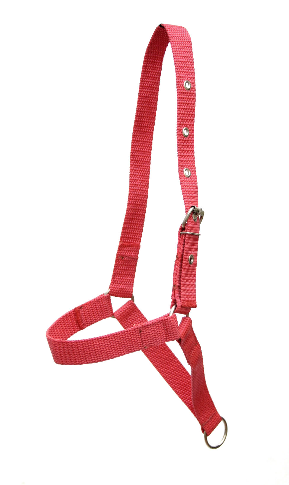 Cabresto de Fita para Vaca Boi Personalizado MCS1690