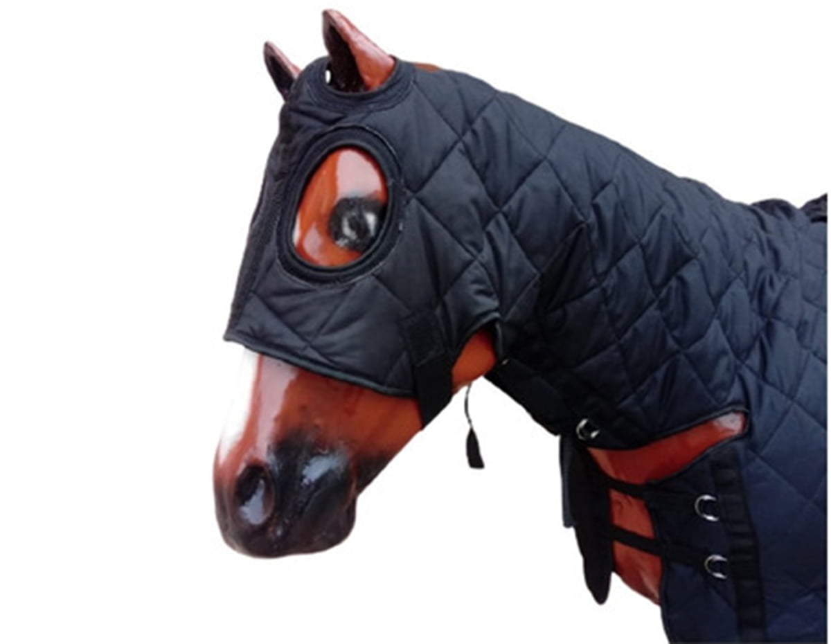 Capa para cavalo: as opções para proteger os animais neste inverno