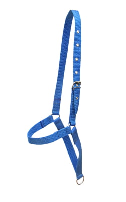 Cabresto de Fita para Vaca Boi Personalizado MCS1690