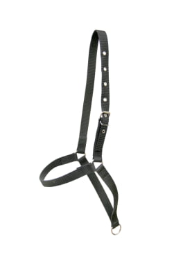 Cabresto de Fita para Vaca Boi Personalizado MCS1690