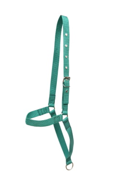 Cabresto de Fita para Vaca Boi Personalizado MCS1690