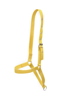 Cabresto de Fita para Vaca Boi Personalizado MCS1690